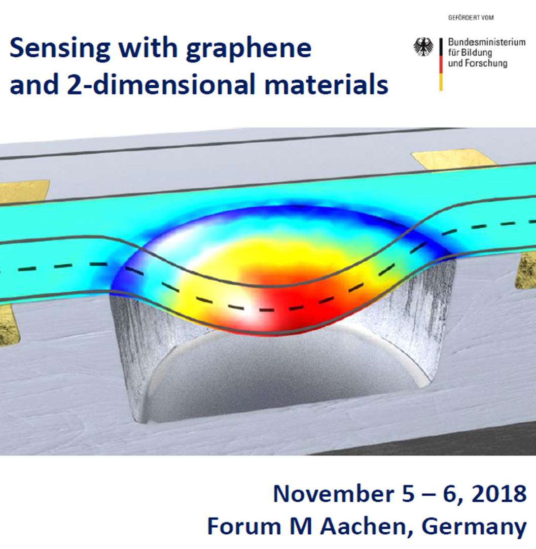 2 D Bar Graph Metal Sensing Workshop “Sensing with graphene and 2-dimensional materials” – Aachen ...